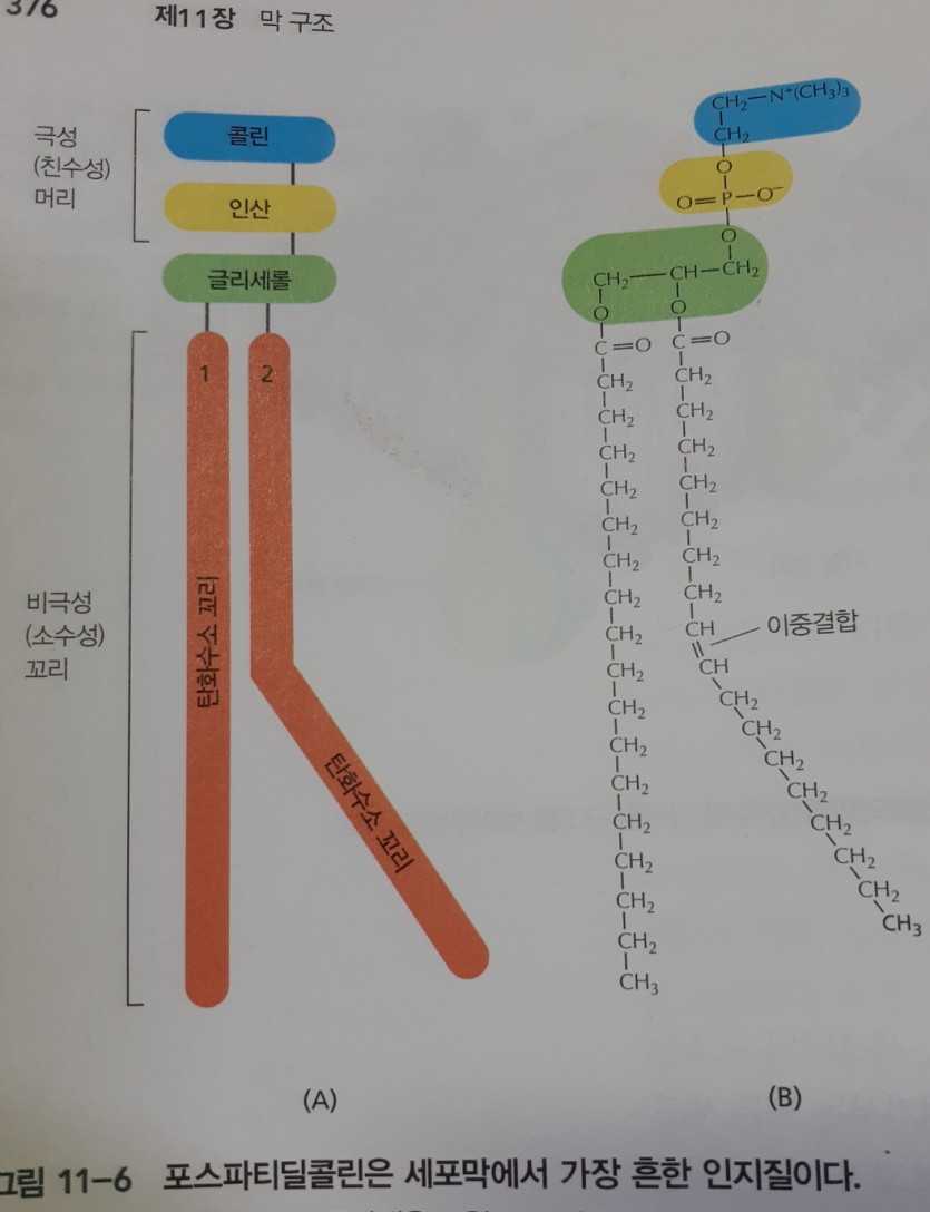71850076358d0c8718da3799e4ad868a_1648807331_4626.jpg