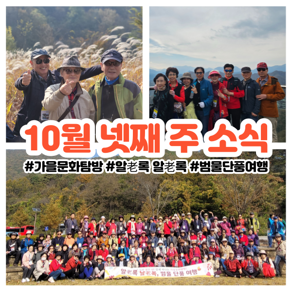 eed05a160de62f79d78c8567f6454091_1698385551_3991.png